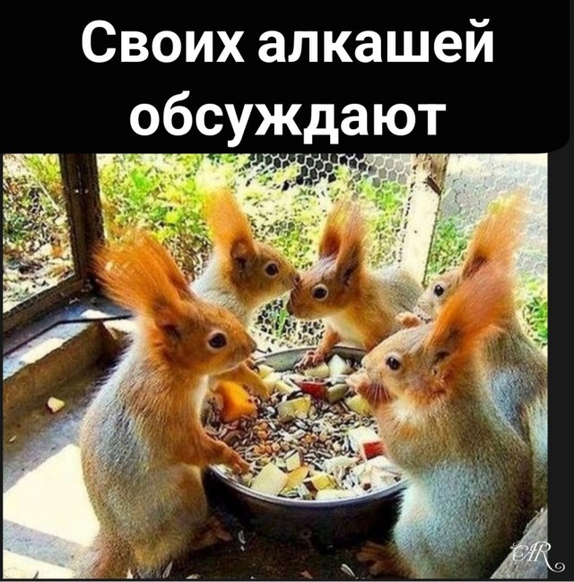 Среды картинки