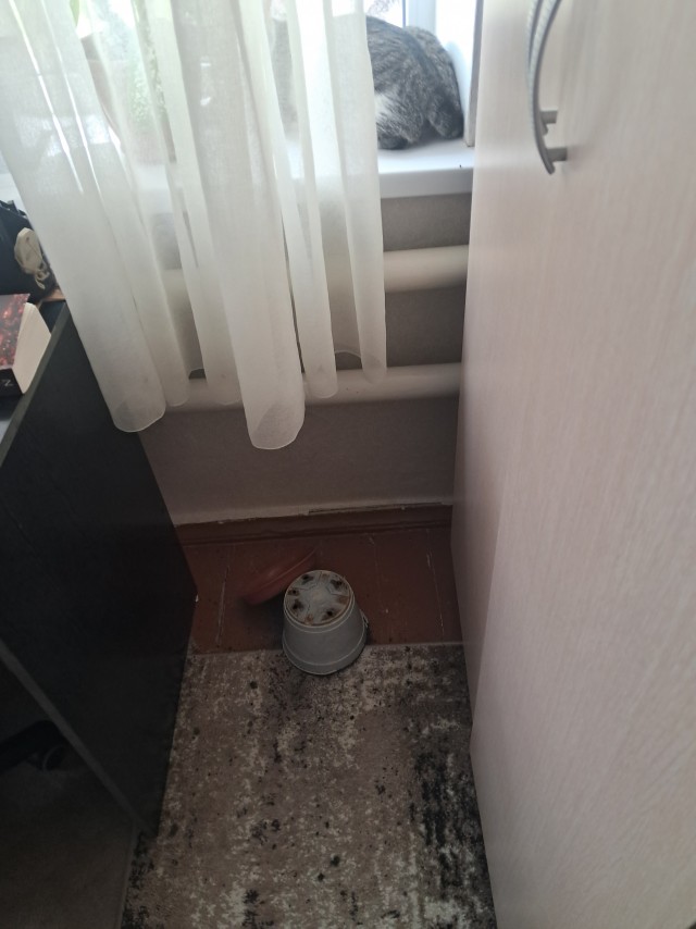 Просто кость широкая