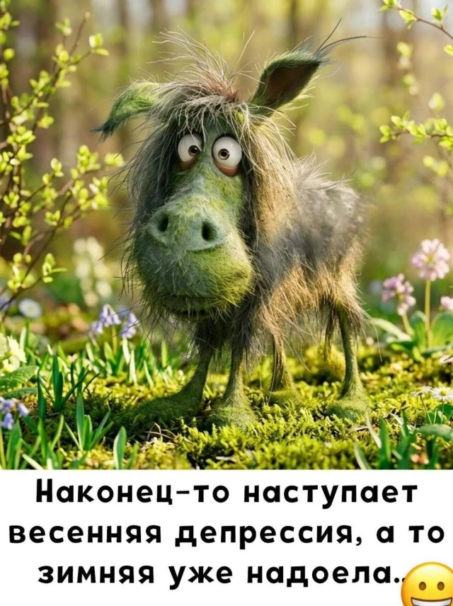 Прикольные и просто красивые картинки 15.05.2026