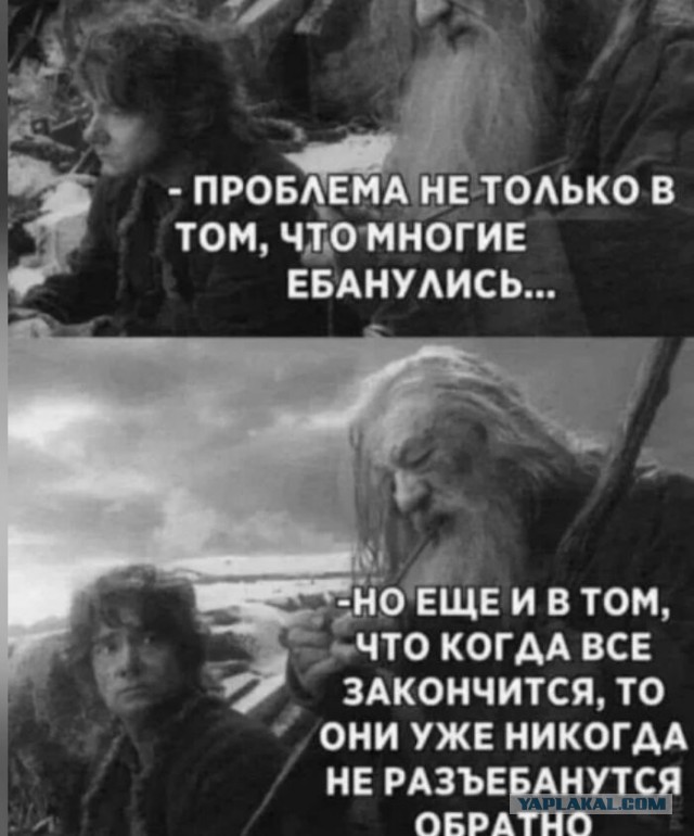 Детские библиотеки в России начали прятать книги из-за "волшебной пыльцы", грибов и маковых полей