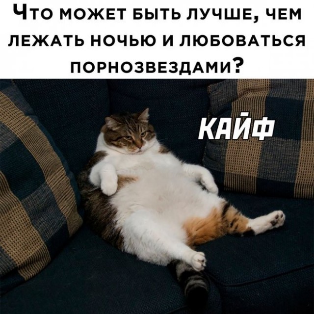 Картинки для деградации 260 (разной степени свежести)