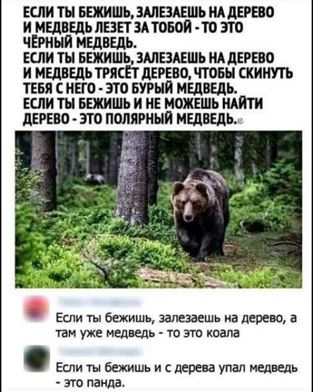 Так себе картинки 27.09.26