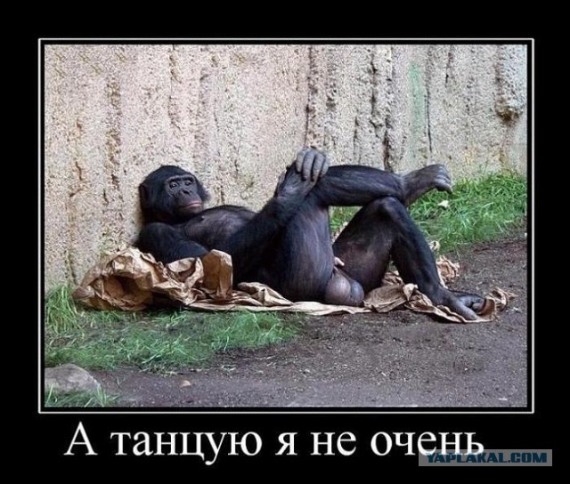 Попница ч.11!