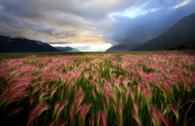 У природы нет плохой погоды?