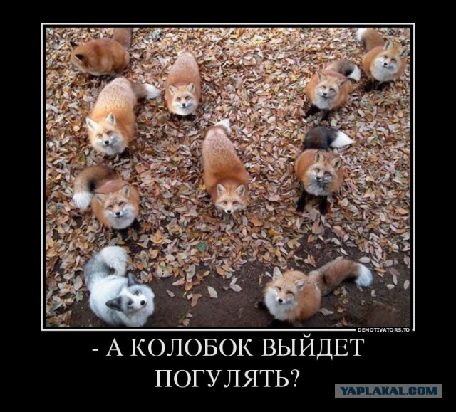 Веселые картинки