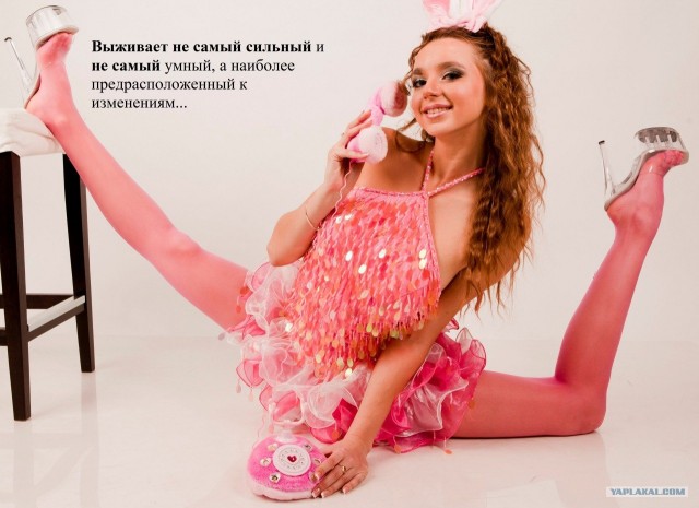 А вы о чем подумали?