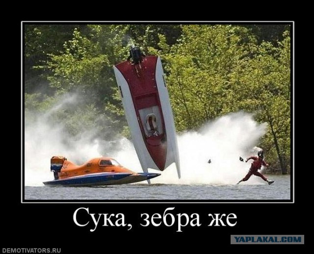 На Земле только 3 человека умели ходить по воде
