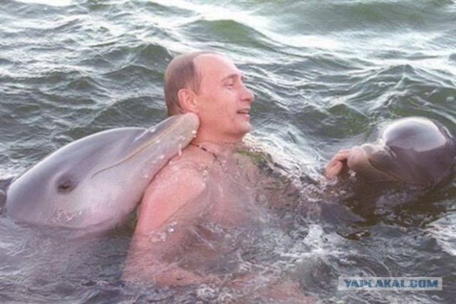 Дочь пытается троллить