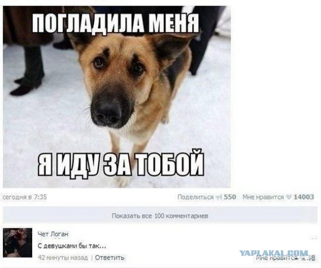 Веселости