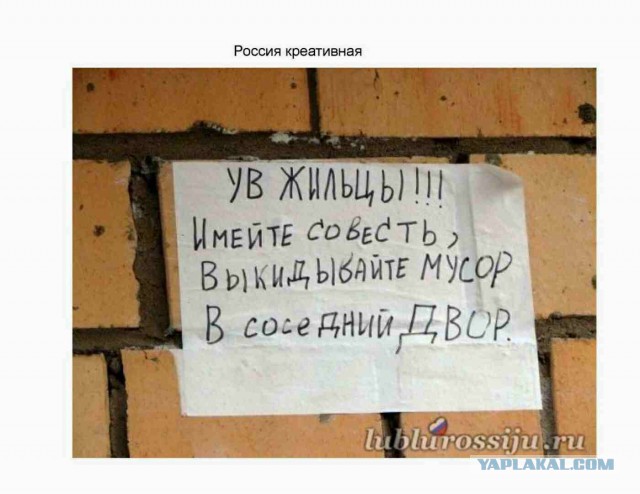Немножко картинок
