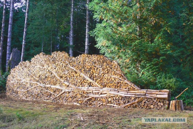 Услада для глаз перфекциониста