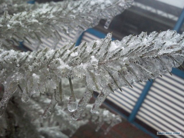 Ледяная зима