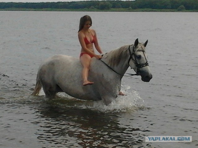Девушка и лошадь