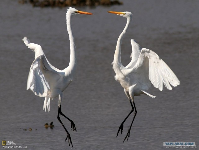 Лучшие фотографии недели