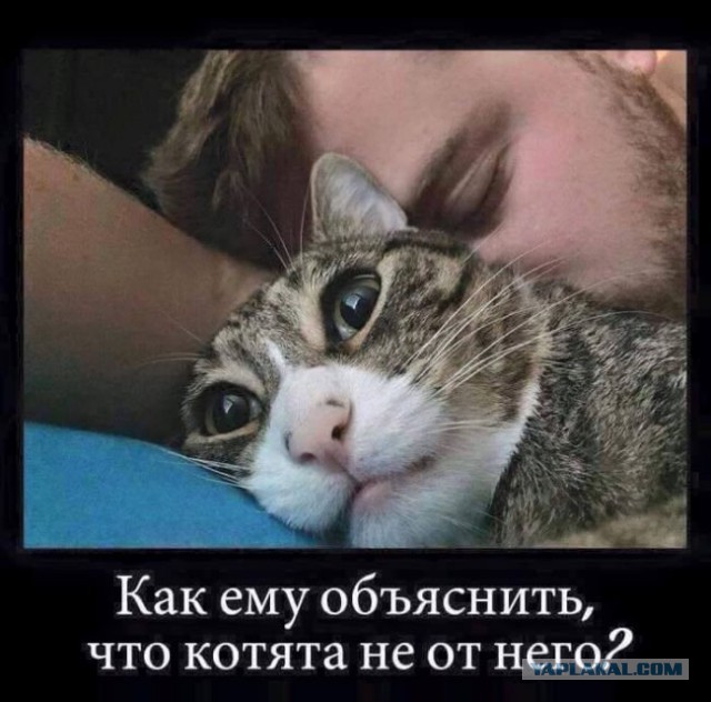 Прикольные картинки
