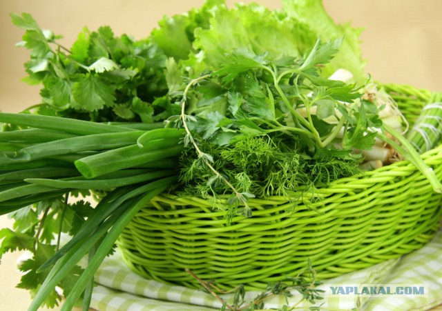 Тест-драйв боевой машины БМД-4М проекта «Садовница»