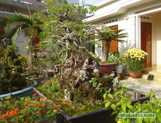 Вьетнамская рублёвка: как живут местные богачи