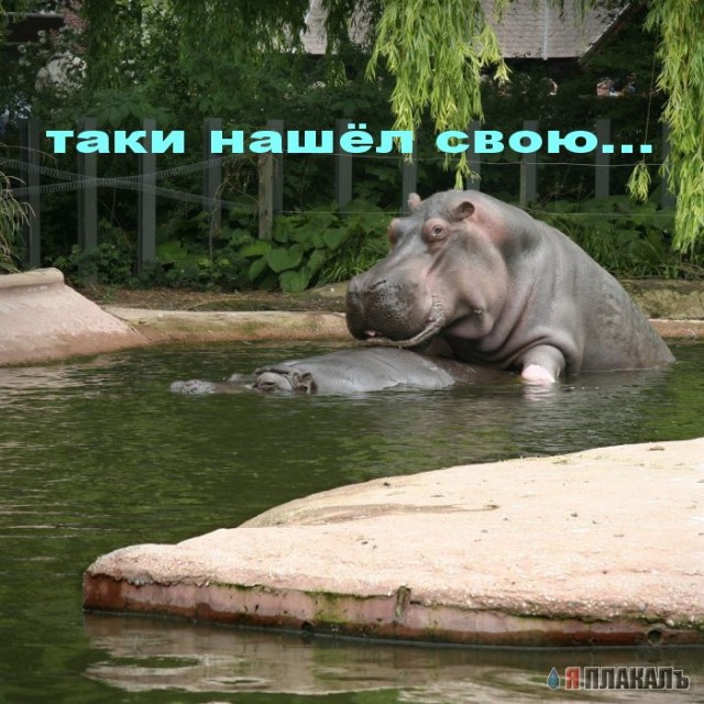 Уже да :) Ужо пятнецца...