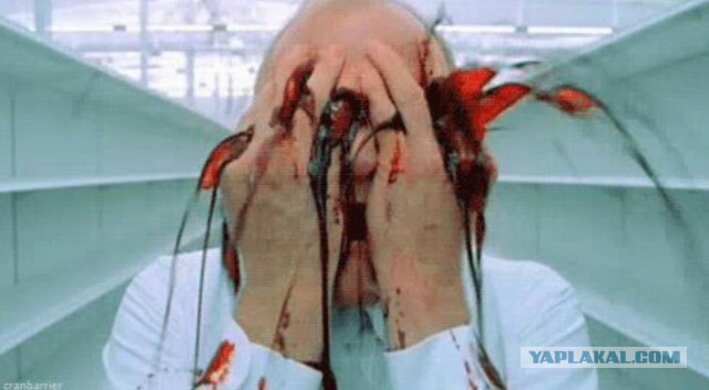 Ужасы и приколы, говорите?