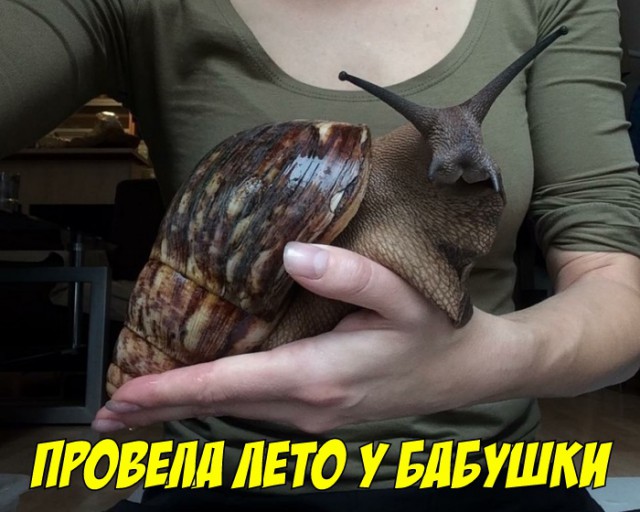 Порция бреда и абсурда к пятнице
