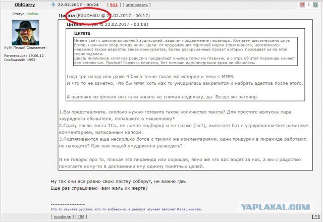 Как я побывал в сетевой пирамиде
