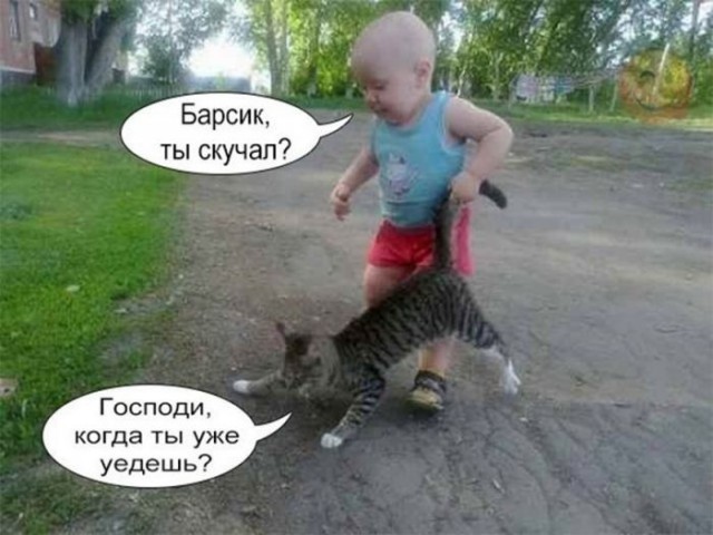 Подборка фотографий.