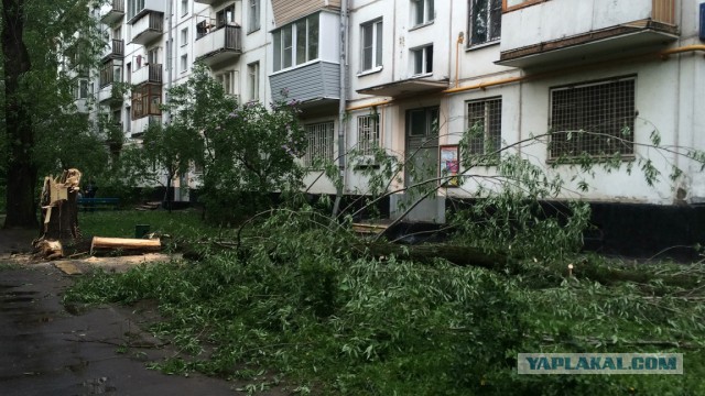 В Москве ураган!