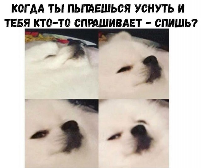 Немного деграданса - 4