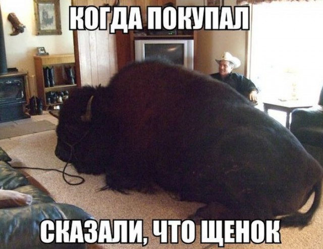 Подборка разного из сети