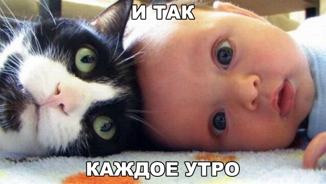 Подборка разного из сети