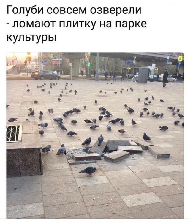 Нестандартный юмор