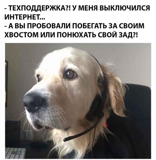 Немного картинок в эту среду