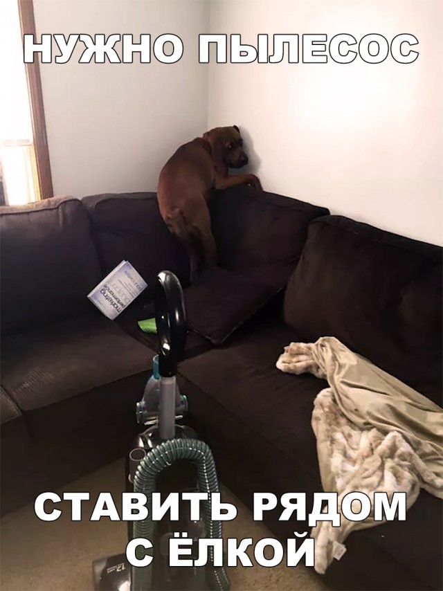 Поставьте пылесос. Елка и рядом пылесос.