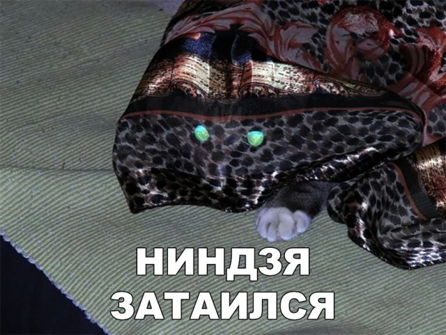 Немного милоты