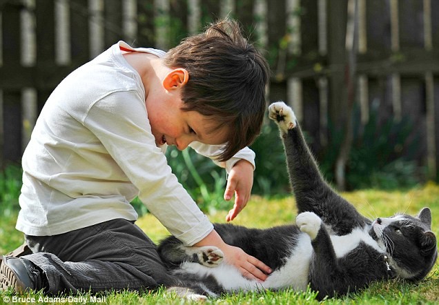 Бездомный кот помог мальчику-аутисту