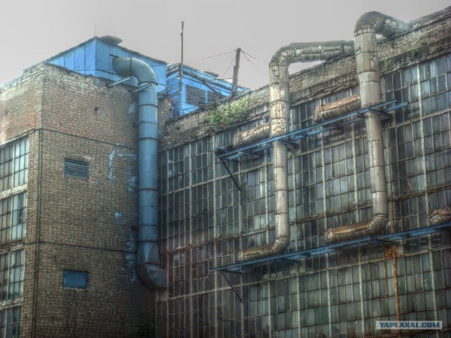 любительская фотография