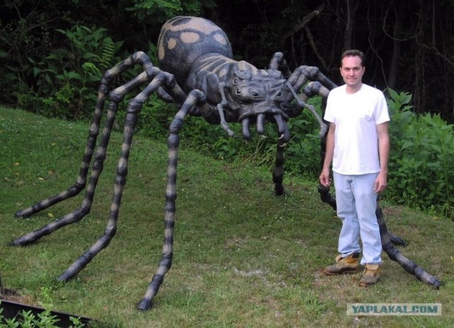 Студия монстров