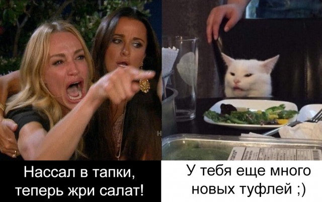 Мем: Две женщины орут на озадаченного кота за столом