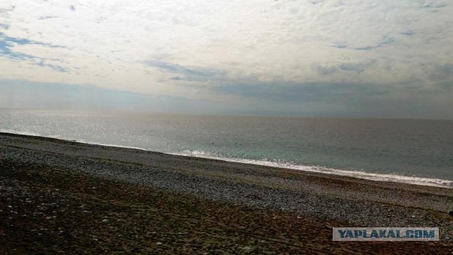 У отдыха в Абхазии есть только один недостаток