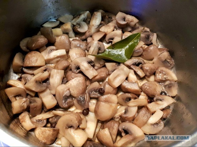 Быстромаринованные шампиньоны.