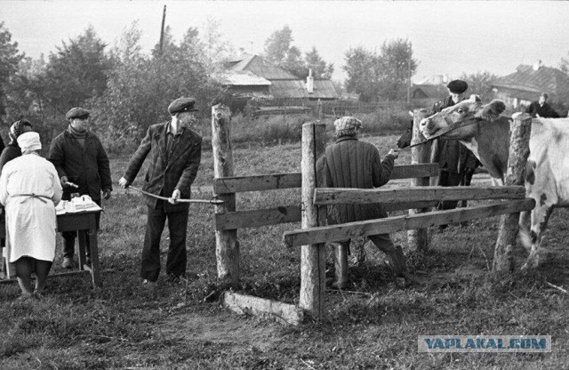 Как в СССР останавливали смертельные эпидемии