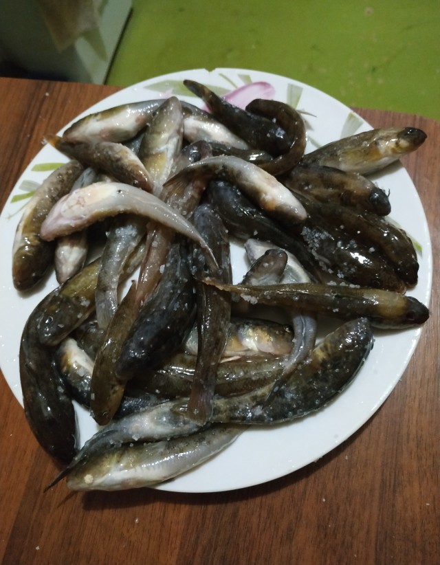 Со своих рыбалок, лето 2019