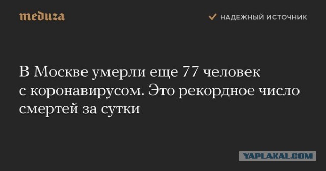 В США заявили о полностью блокирующем коронавирус антителе