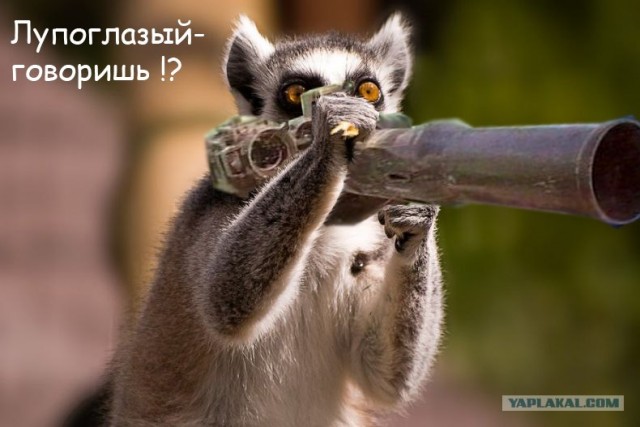 Сижу вот,отдыхаю