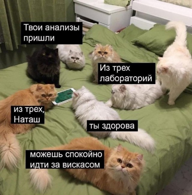 Наташа, вставай!
