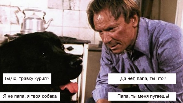 Бредзона 10.01.21