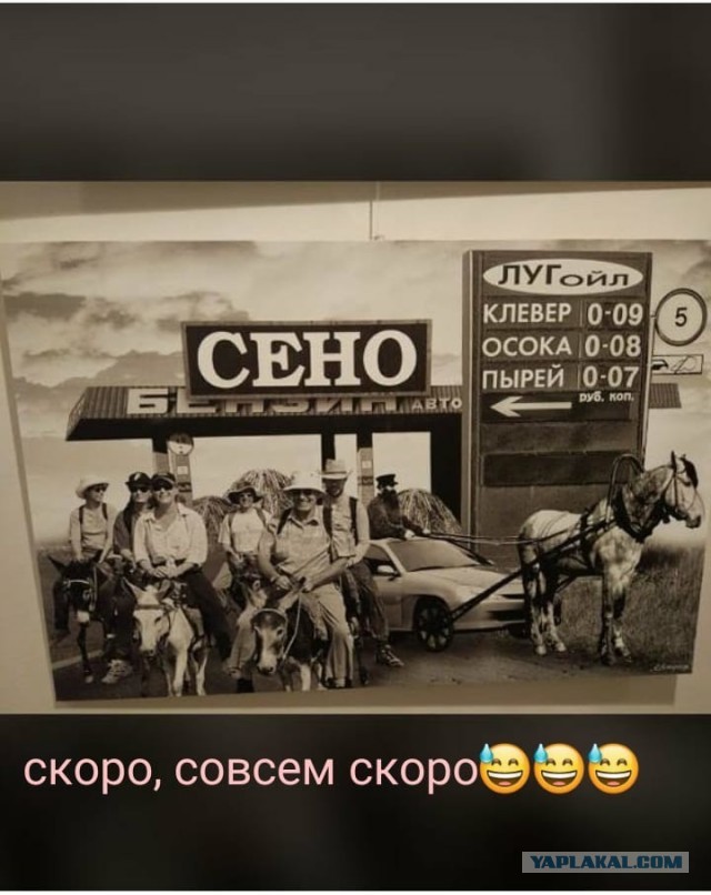 Ценам на бензин в России предсказали резкий рост