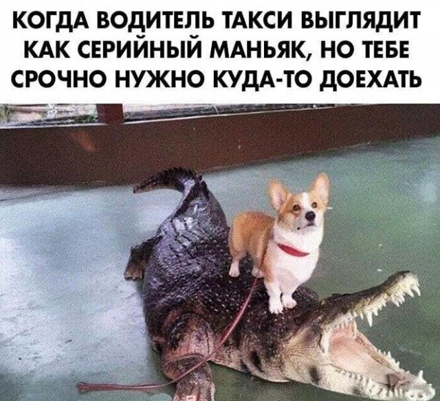 Картинки и мемы для настроения 019