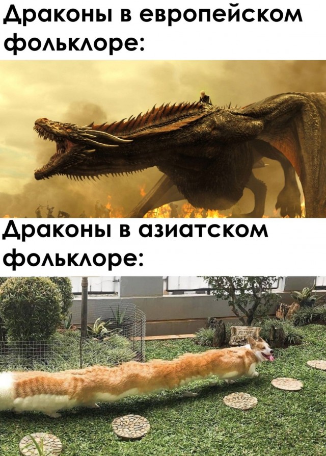 Весёлый полтишок 25.03