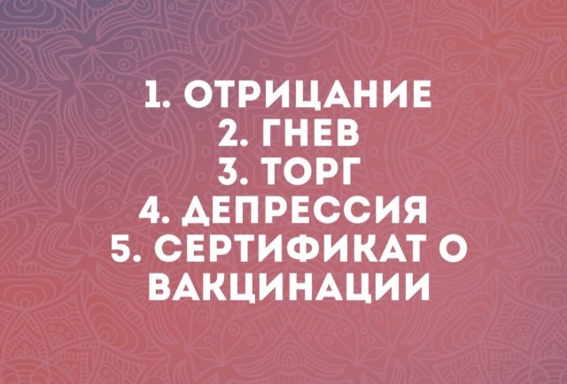 Нет QR кода - нет никаких прав и никаких госуслуг. Только налоги платить не забывай, иначе пеня, штраф, цугундер!